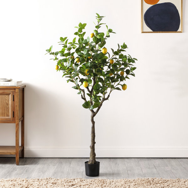 Primrue Faux Lemon 60" Potted Tree & Reviews Wayfair